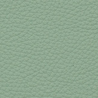 Leather - Sage